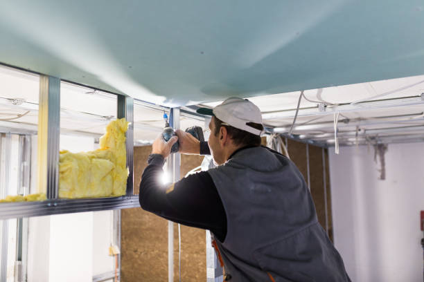 Best Insulation Installation Services in Sunflower, MS